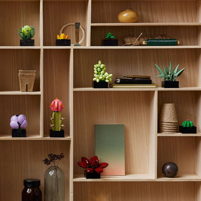 LEGO® Botanicals Succulents