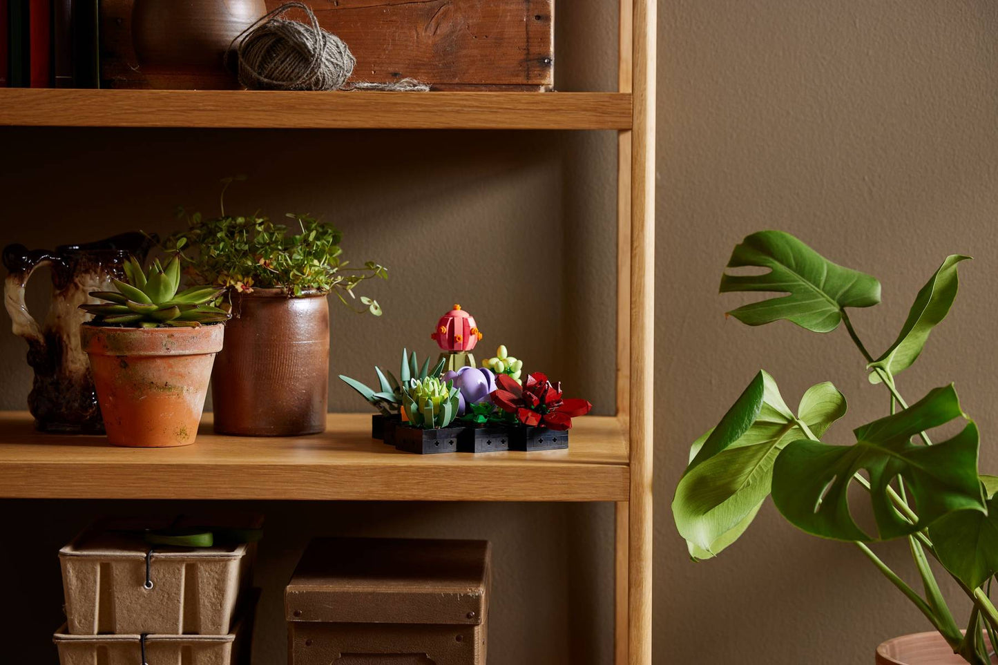 LEGO® Botanicals Succulents