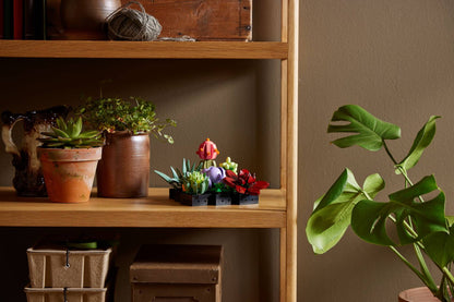 LEGO® Botanicals Succulents